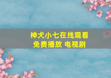 神犬小七在线观看免费播放 电视剧